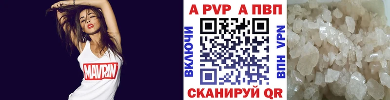Альфа ПВП СК КРИС  Зерноград 