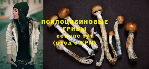 крисы Абинск