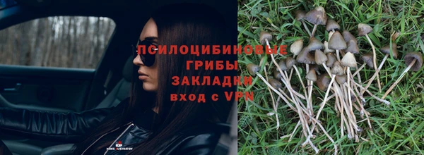 ГАЛЛЮЦИНОГЕННЫЕ ГРИБЫ Абдулино
