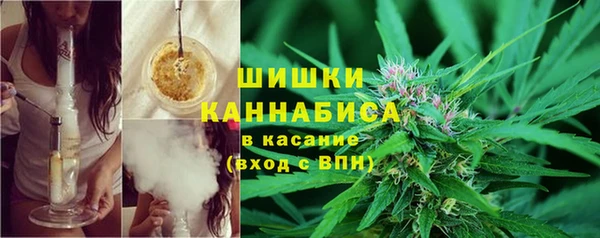 ГАЛЛЮЦИНОГЕННЫЕ ГРИБЫ Абдулино
