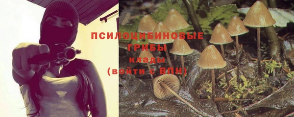 крисы Абинск
