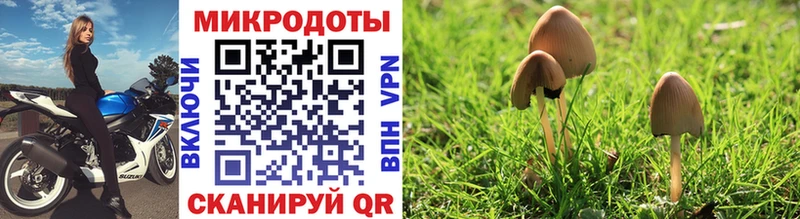 наркошоп  Зерноград  Псилоцибиновые грибы мицелий 