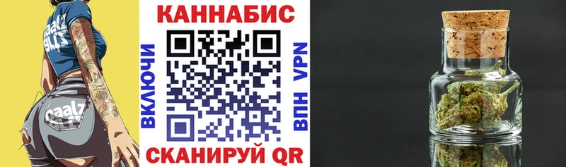 Бошки Шишки планчик  Зерноград 